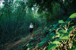 BIB: 
                            <button type="button" onclick="openModal(28124996)" class="btn btn-primary btn-sm float-right btn-popup" data-toggle="modal" data-target=".modal-high-quality">
                        <i class="fas fa-shopping-cart"></i> Add to Cart
                    </button>
                                            <button type="button" onclick="isThisMe(28124996, true)" class="btn btn-success btn-sm float-right btn-popup btn-isme hidden" data-toggle="tooltip" data-placement="bottom" title="นี่คือรูปของคุณใช่ไหม คลิกที่นี่เพื่อเอาเข้าอัลบั้ม">
                        <i class="fas fa-plus"></i> Add to album
                    </button>
                    <button type="button" onclick="isThisMe(28124996, false)" class="btn btn-warning btn-sm float-right btn-popup btn-isnotme hidden">
                        <i class="fas fa-ban"></i> Remove from album
                    </button>